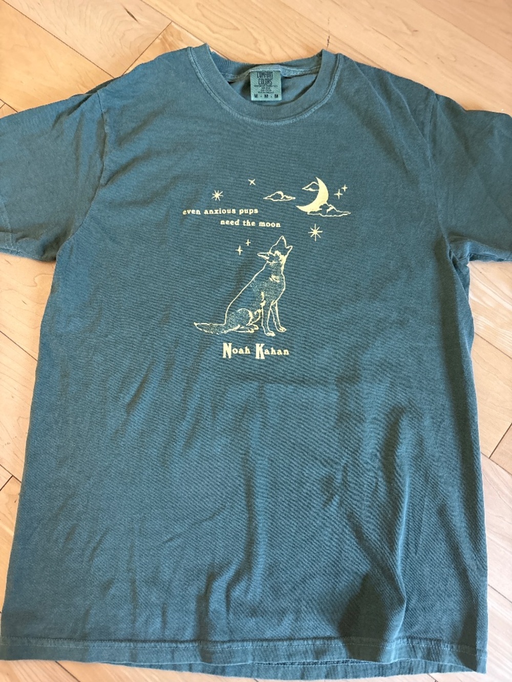 Noah Kahan Official Tour Shirt